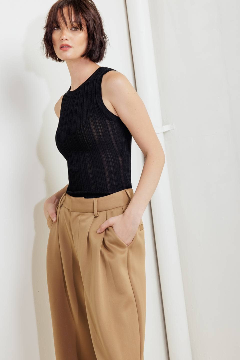 Solid Camel Trouser Pant