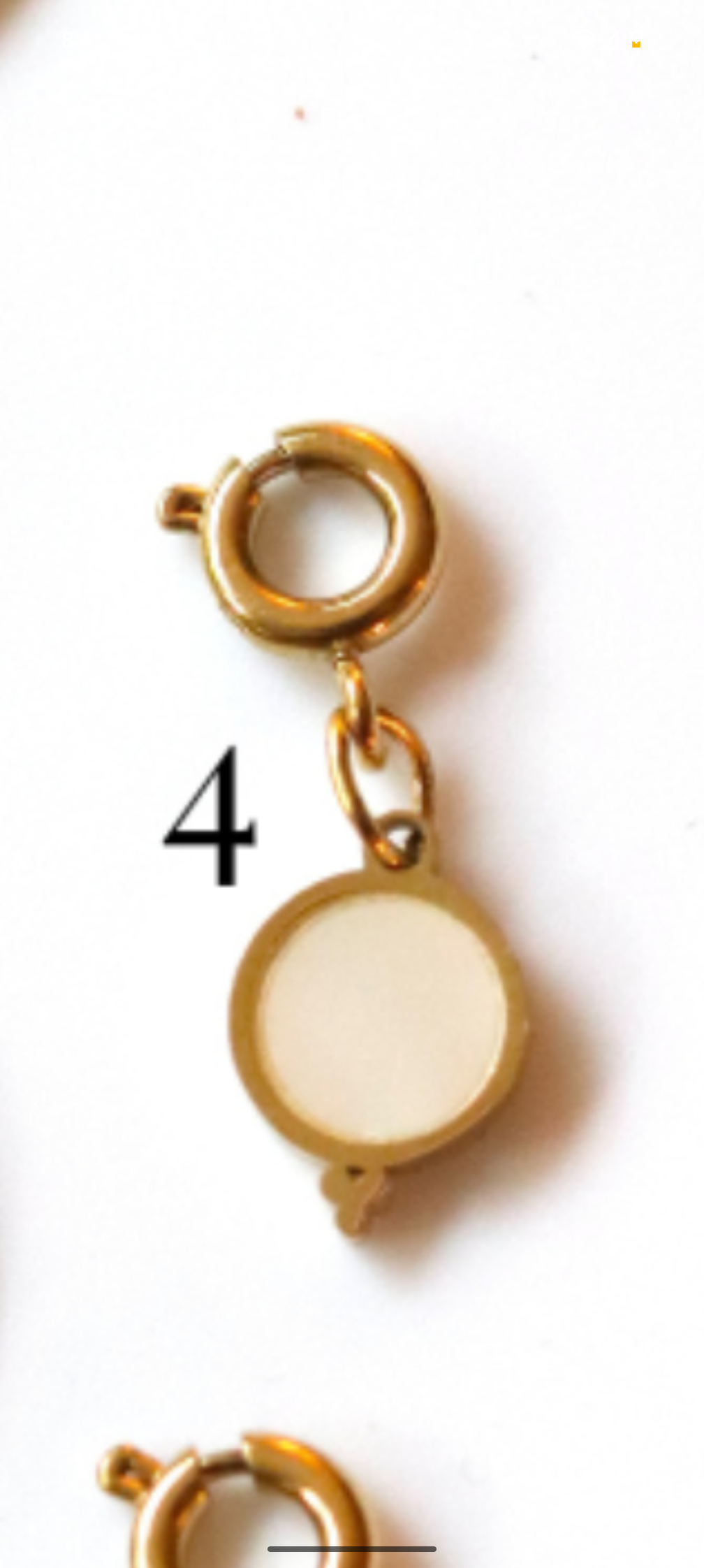 Stainless Steel Clippable Black and White Collection Charms