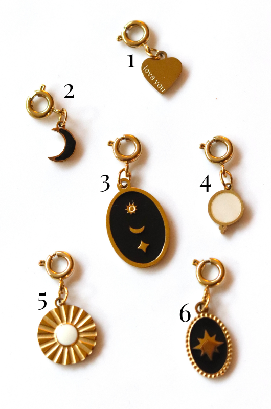 Stainless Steel Clippable Black and White Collection Charms